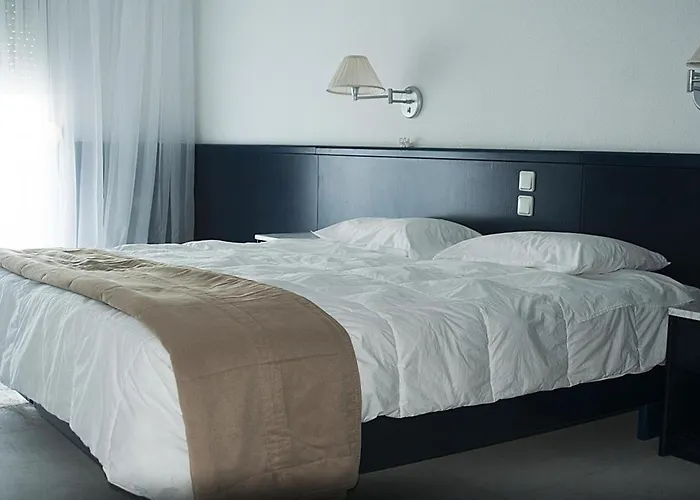 Skion Palace Otel 4*