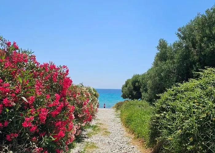 Skion Palace Nea Skioni